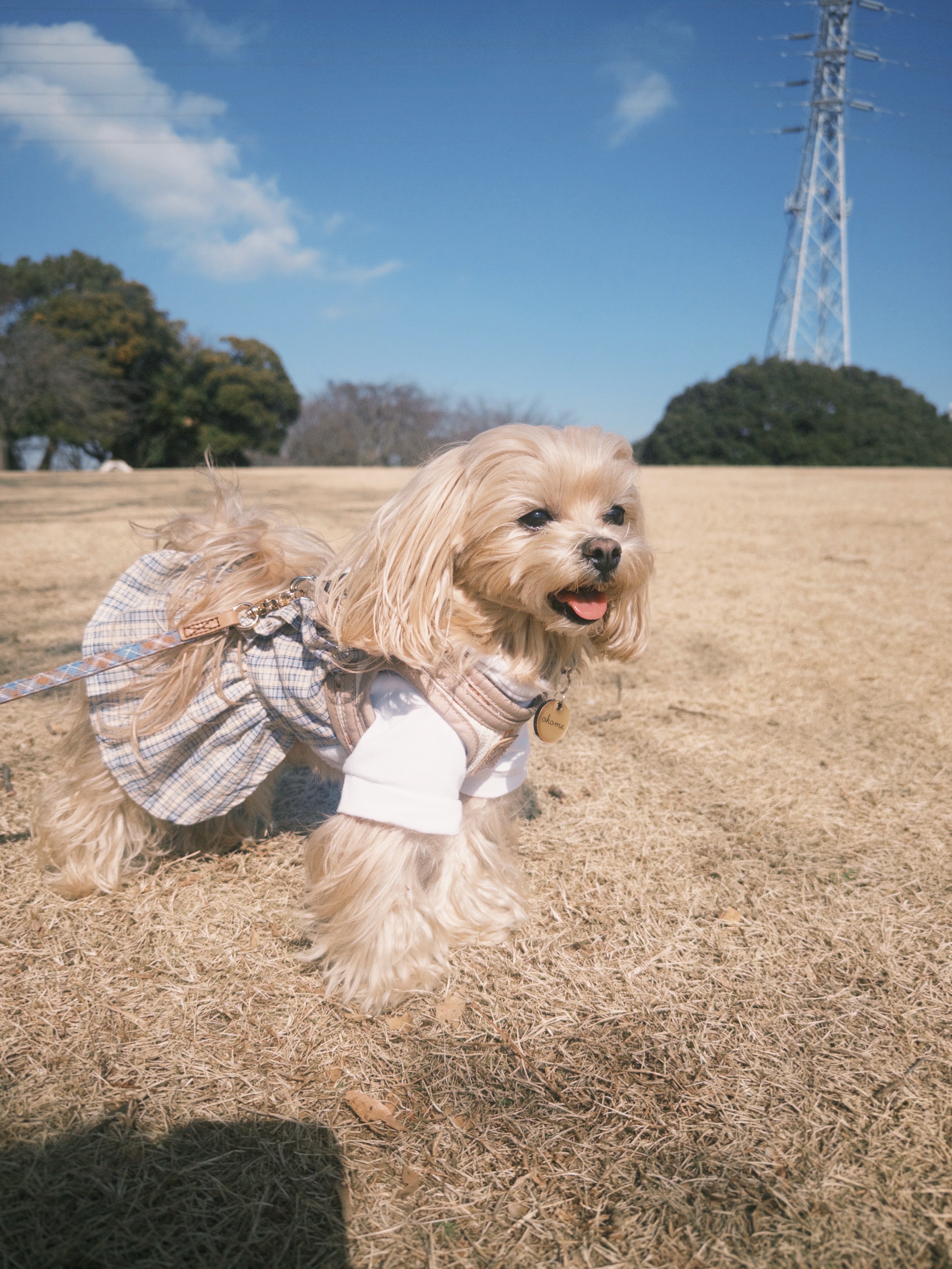 プロフィール写真
